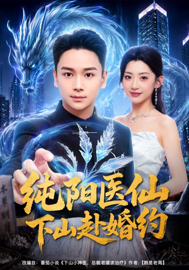 纯阳医仙下山赴婚约