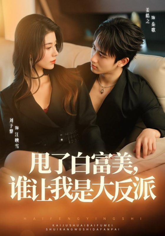 《甩了白富美，谁让我是大反派》-VIP部落