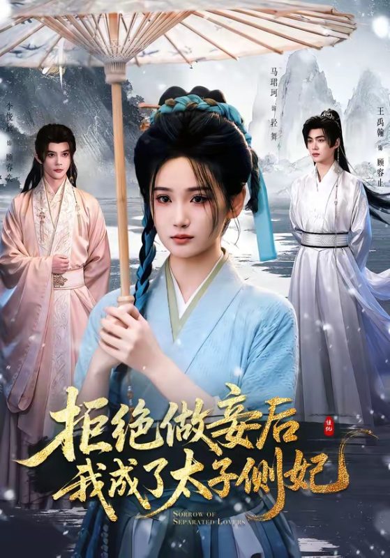 《拒绝做妾后我成了太子侧妃》-VIP部落