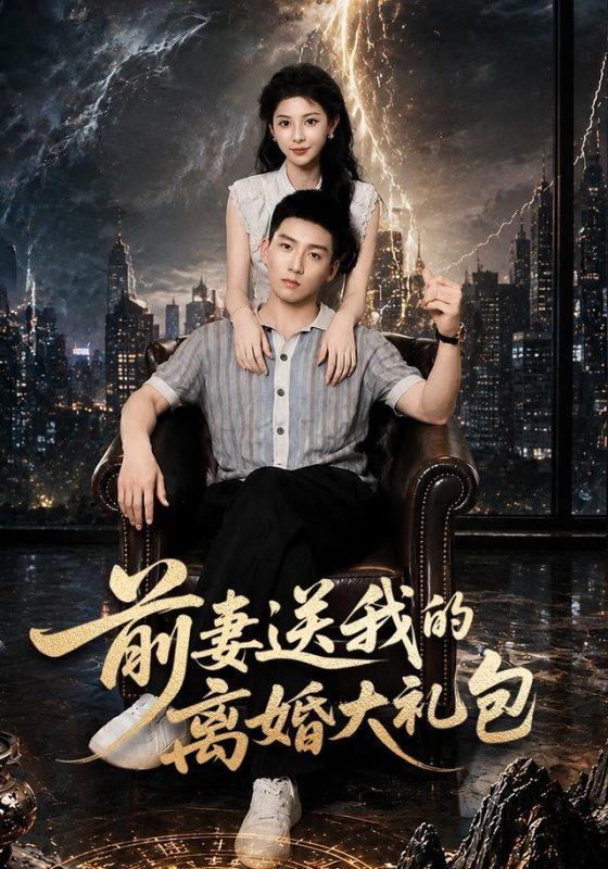 《前妻送我的离婚大礼包》-VIP部落
