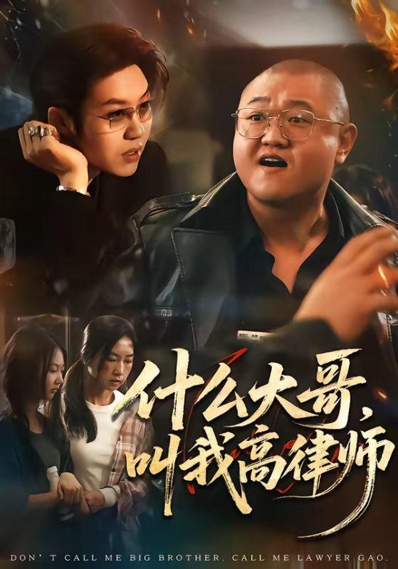 《什么大哥，叫我高律师》-VIP部落