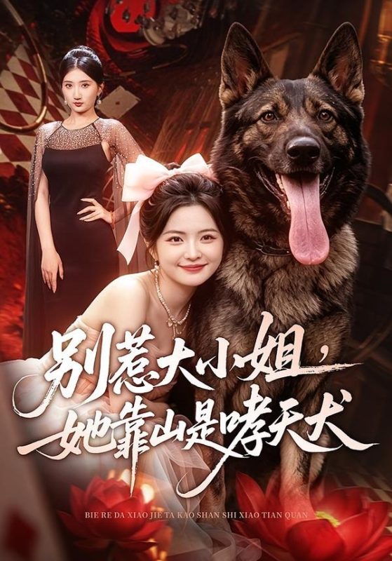 《别惹大小姐，她靠山是哮天犬》-VIP部落
