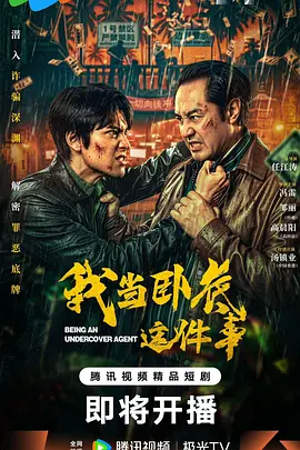 《我当卧底这件事》-VIP部落