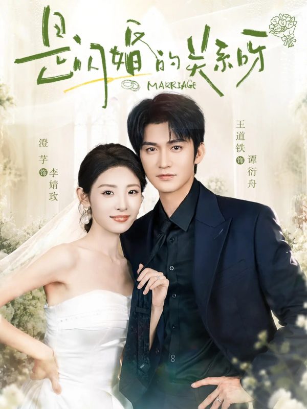 《是闪婚的关系呀》-VIP部落