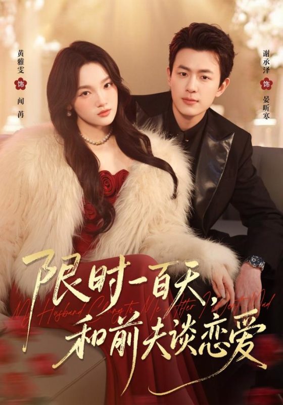 《限时一百天，和前夫谈恋爱》-VIP部落