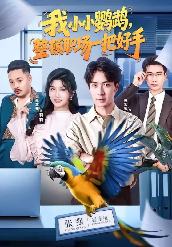 《我小小鹦鹉，整顿职场一把好手》-VIP部落