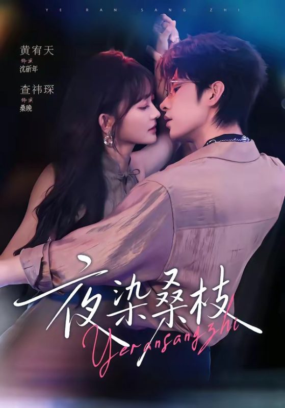《夜染桑枝》-VIP部落