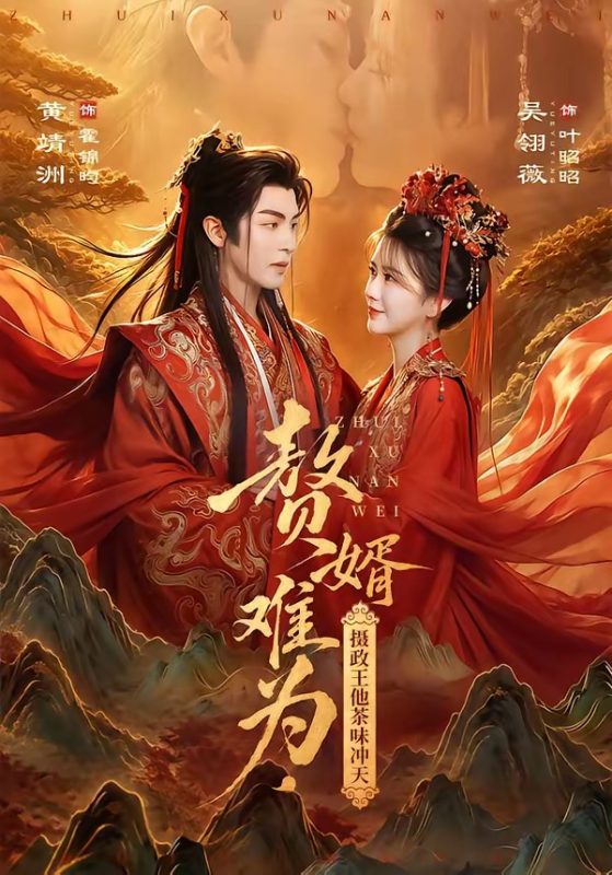 《赘婿难为，摄政王他茶味冲天》-VIP部落