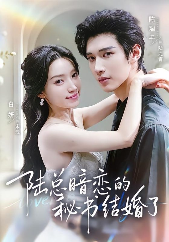 《陆总暗恋的秘书结婚了》-VIP部落