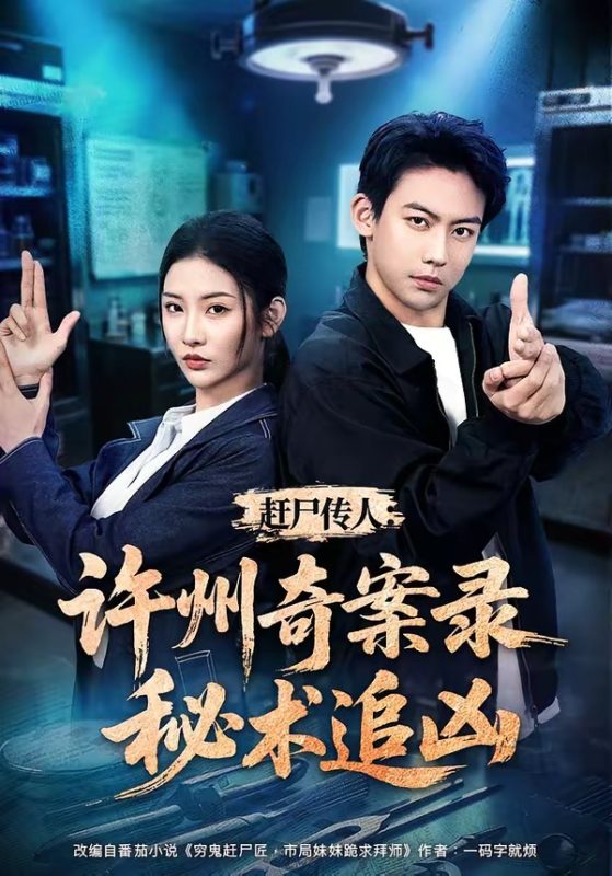 《赶尸传人：许州奇案录秘术追凶》-VIP部落