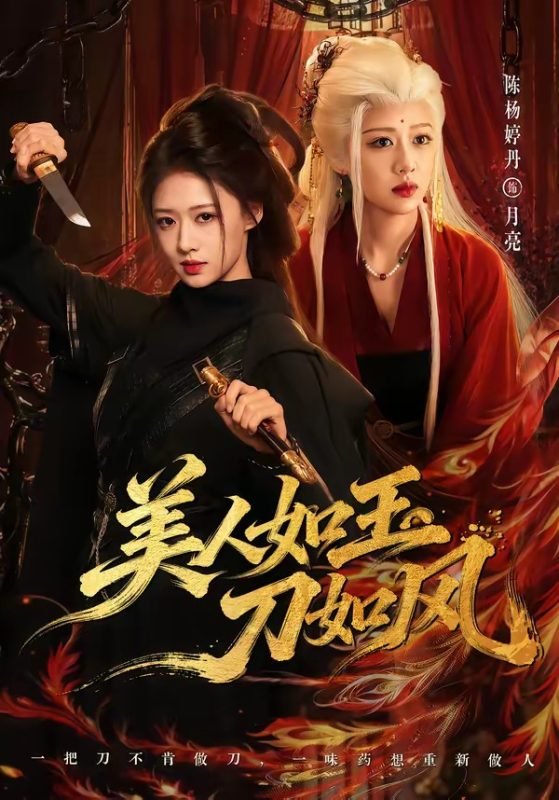 《美人如玉刀如风》-VIP部落