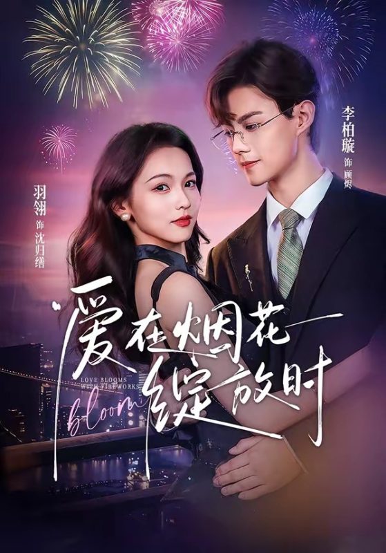 《爱在烟花绽放时》-VIP部落
