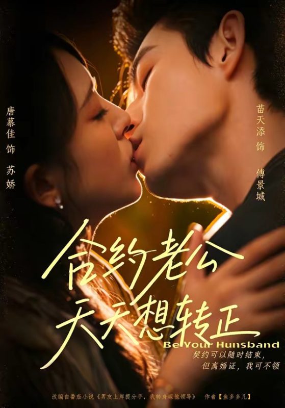 《合约老公天天想转正》-VIP部落