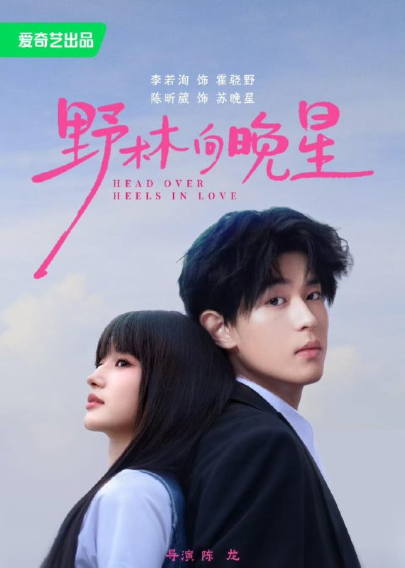 《野林向晚星》-VIP部落