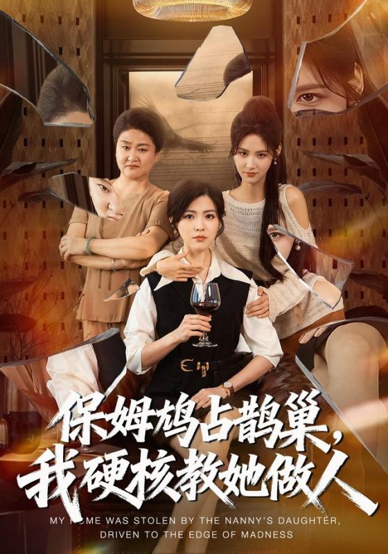 《保姆鸠占鹊巢，我硬核教她做人》-VIP部落