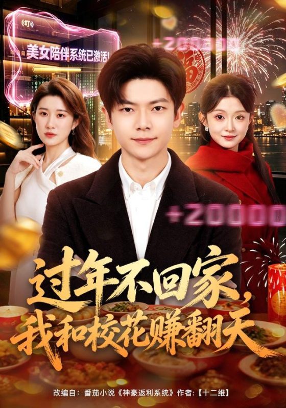 《过年不回家，我和校花赚翻天》-VIP部落