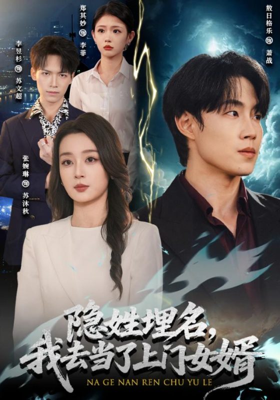 《隐姓埋名，我去当了上门女婿》-VIP部落