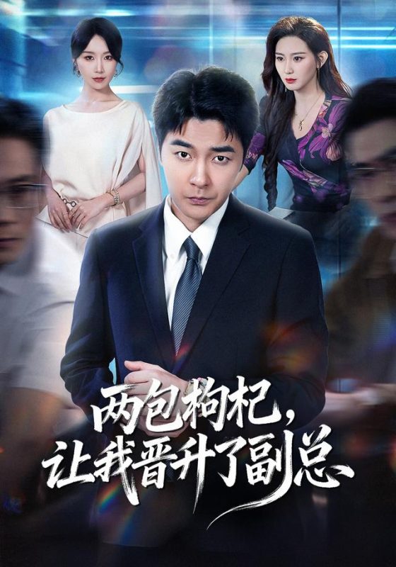 《两包枸杞，让我晋升了副总》-VIP部落
