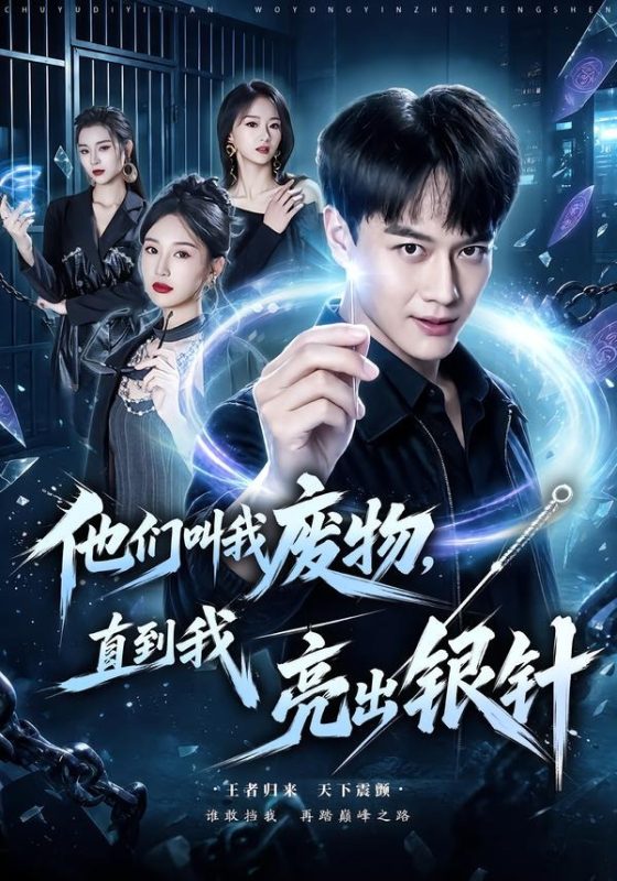 《他们叫我废物，直到我亮出银针》-VIP部落