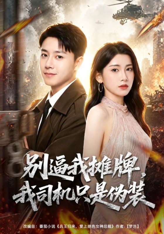 《别逼我摊牌，我司机只是伪装》-VIP部落
