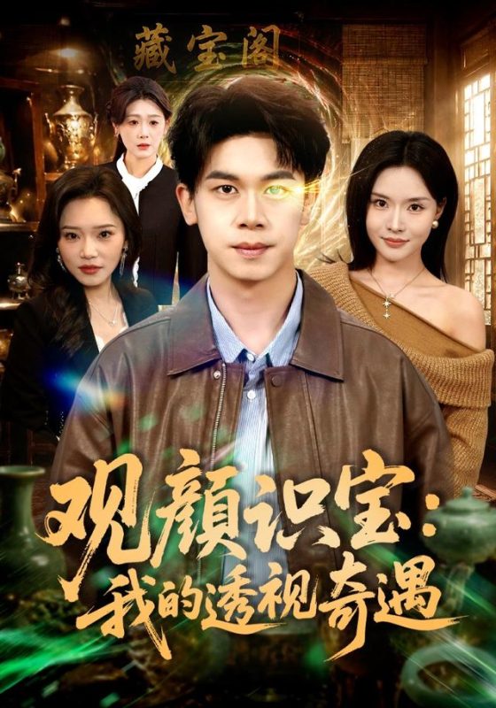 《观颜识宝：我的透视奇遇》-VIP部落