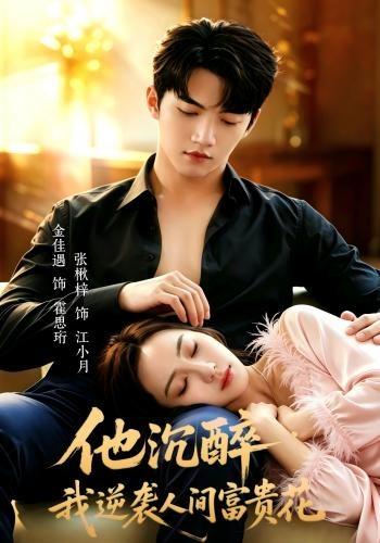 《他沉醉，我逆袭人间富贵花》-VIP部落