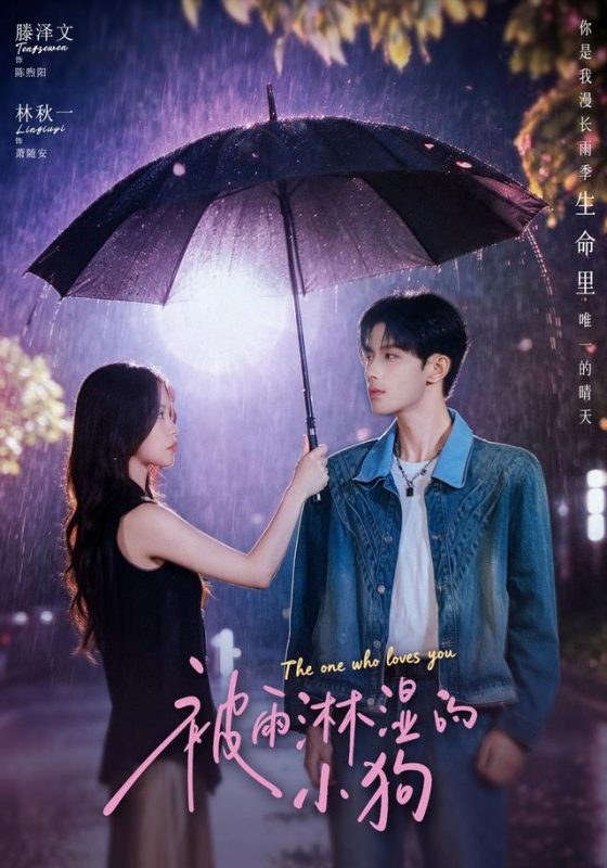 《被雨淋湿的小狗》-VIP部落
