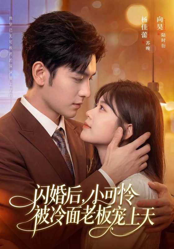 《闪婚后，小可怜被冷面老板宠上天》-VIP部落