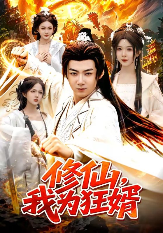 《修仙，我为狂婿》-VIP部落