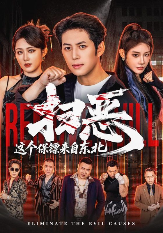 《扫恶，这个保镖来自东北》-VIP部落