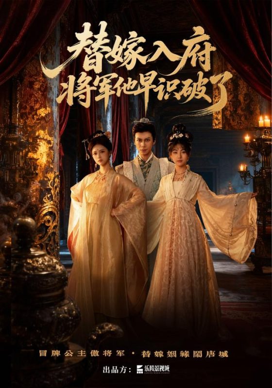 《替嫁入府，将军他早识破了》-VIP部落