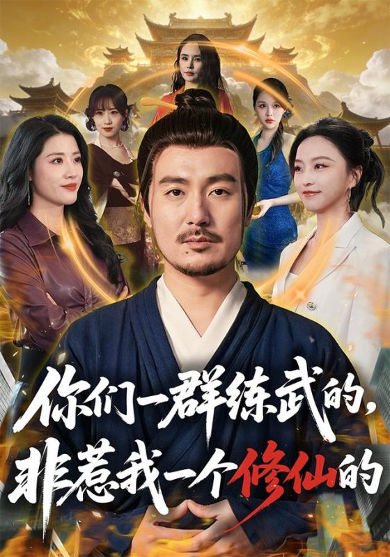《你们一群练武的，非惹我一个修仙的》-VIP部落