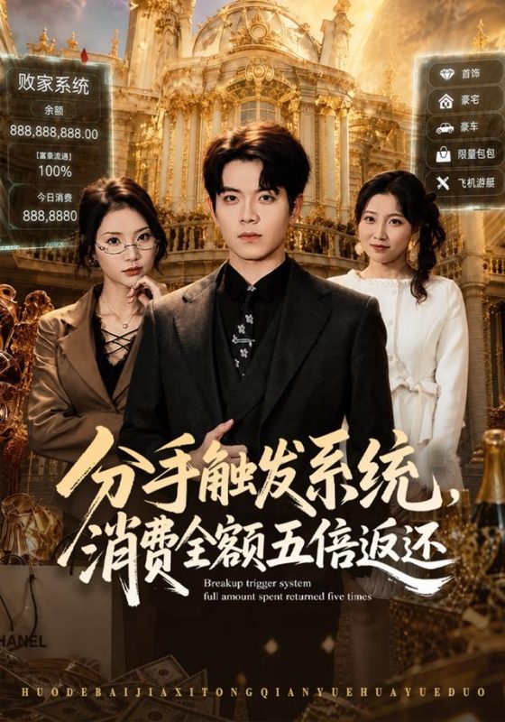 《分手触发系统，消费全额五倍返还》-VIP部落