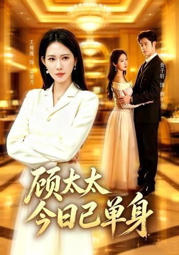 《顾太太今日已单身》-VIP部落