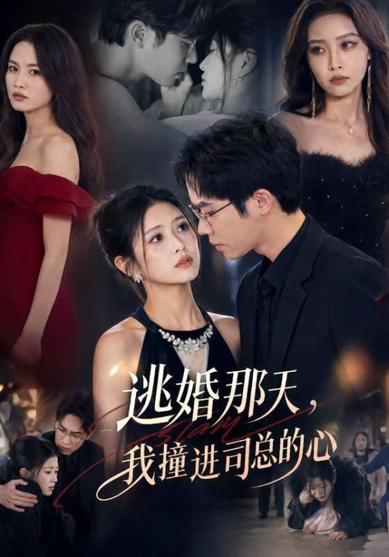 《逃婚那天，我撞进司总的心》-VIP部落