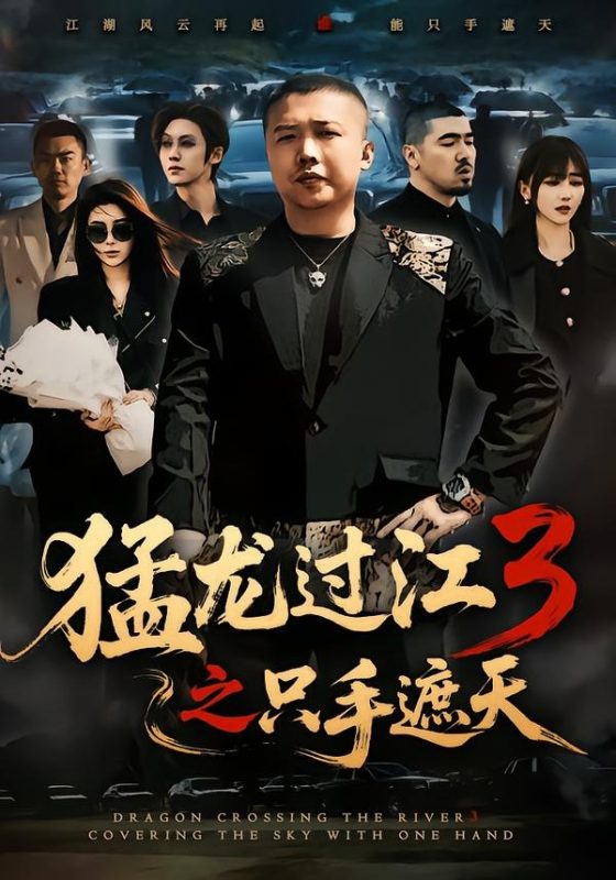 《猛龙过江3之只手遮天》-VIP部落