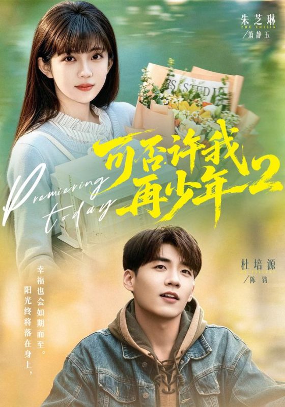 《可否许我再少年2》-VIP部落