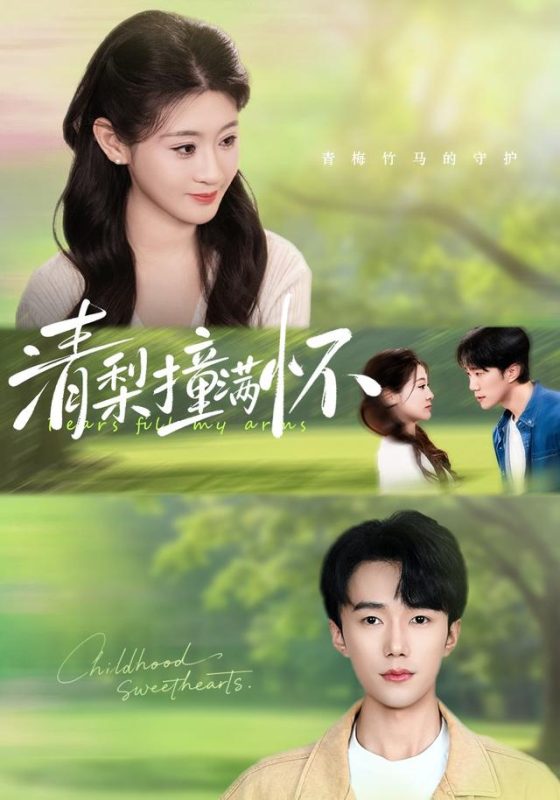 《清梨撞满怀》-VIP部落