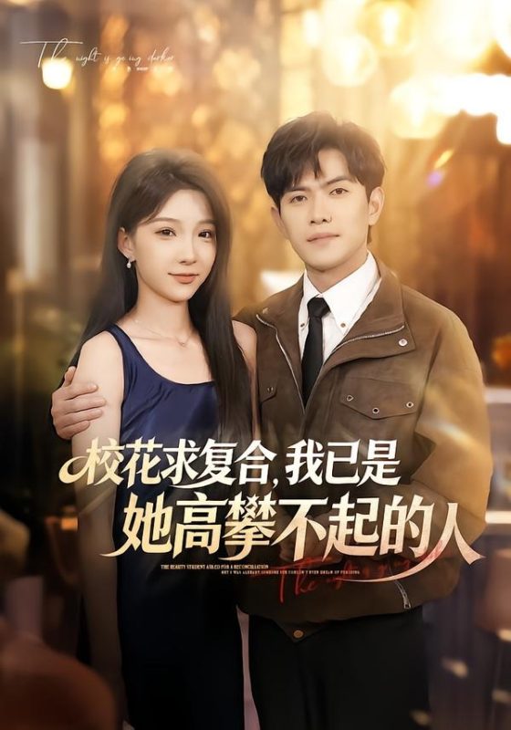 《校花求复合，我已是她高攀不起的人》-VIP部落