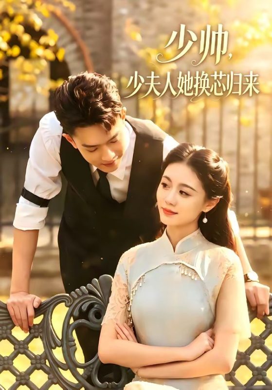 《少帅，少夫人她换芯归来》-VIP部落