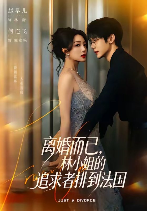 《离婚而已，林小姐的追求者排到法国》-VIP部落