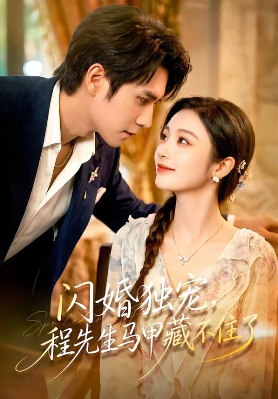 《闪婚独宠，程先生马甲藏不住了》-VIP部落