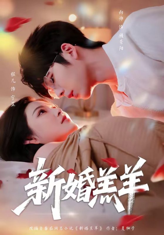 《新婚羔羊》-VIP部落