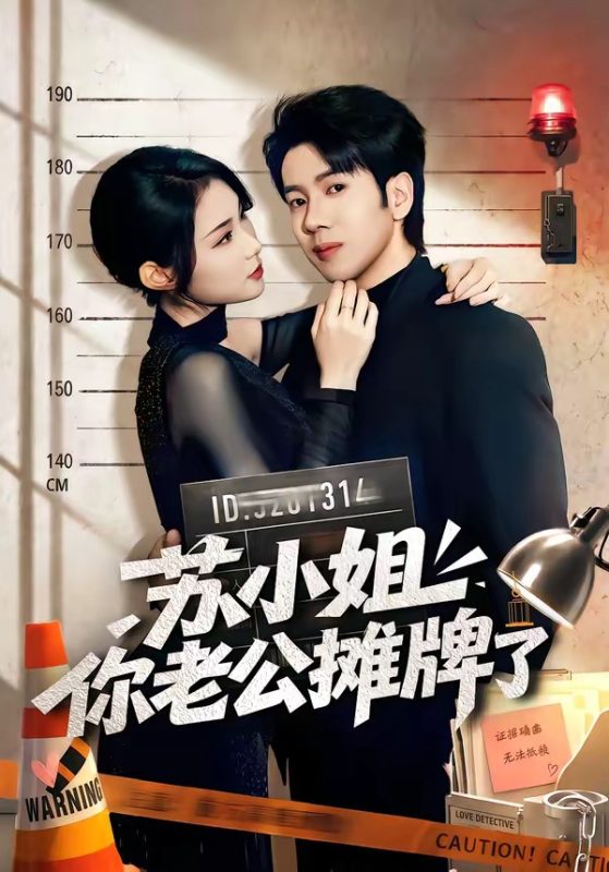 《苏小姐你老公摊牌了》-VIP部落
