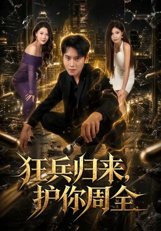 《狂兵归来，护你周全》-VIP部落