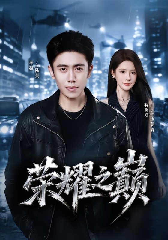 《荣耀之巅》-VIP部落