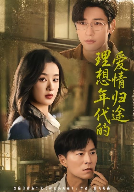 《理想年代的爱情归途》-VIP部落