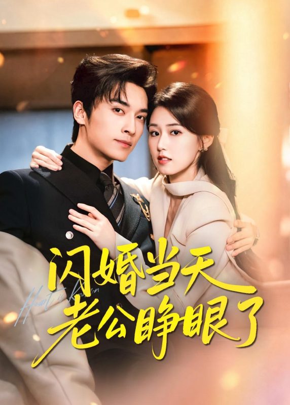 《闪婚当天老公睁眼了》-VIP部落