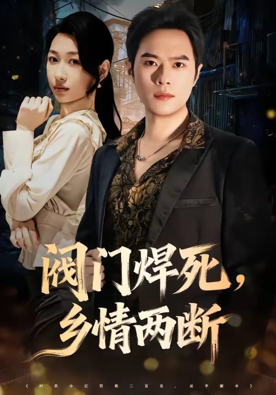 《阀门焊死，乡情两断》-VIP部落