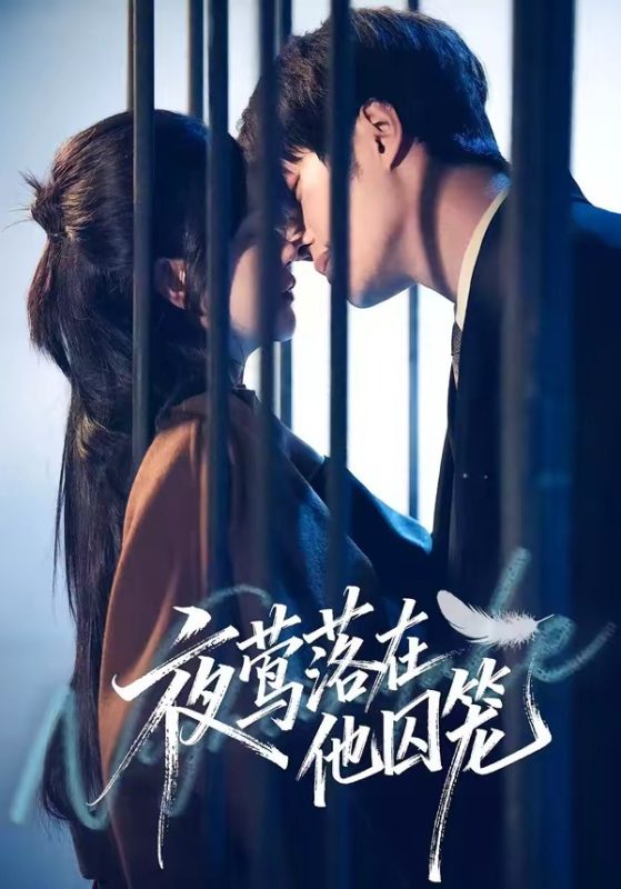 《夜莺落在他囚笼》-VIP部落